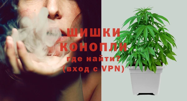 мяу мяу мука Белокуриха