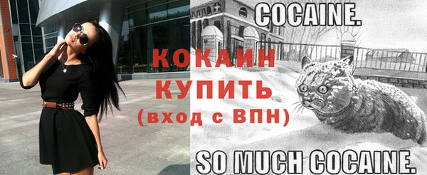 мяу мяу мука Белокуриха