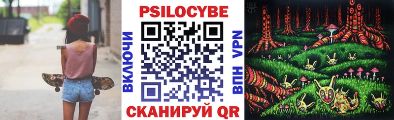 Купить закладки  Няндома  Галлюциногенные грибы ЛСД 