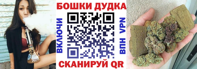 Бошки марихуана THC 21%  Купить где  Няндома 